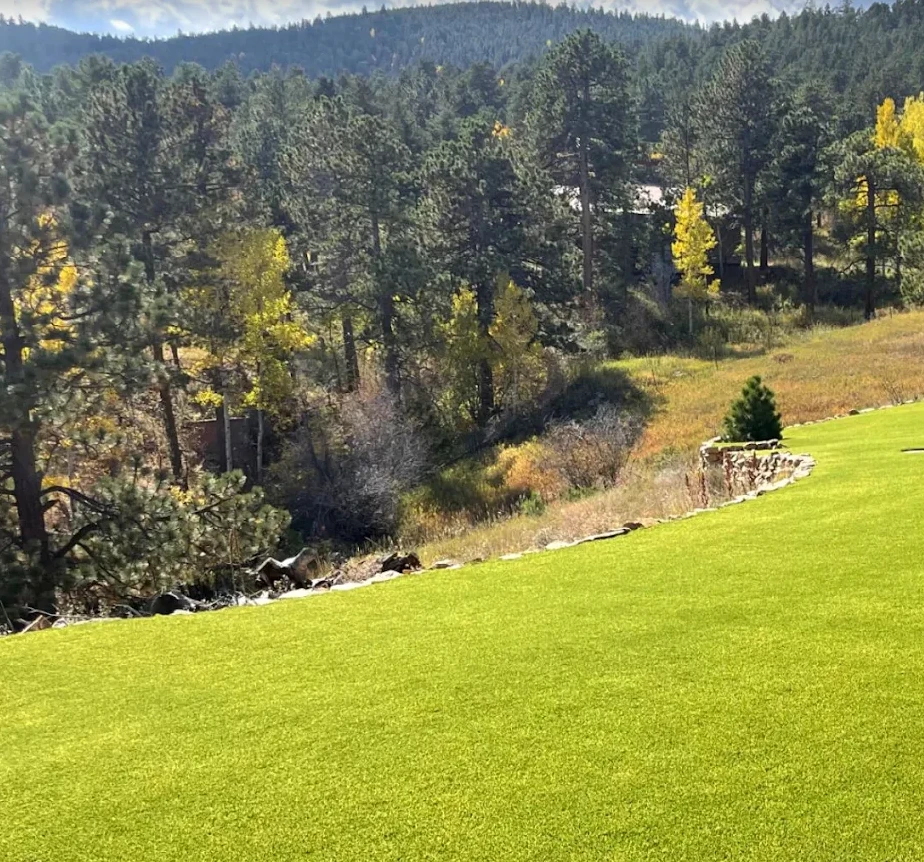 Large sloped artificial lawn bordered by stone above a wooded hillside
